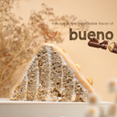 Bueno Triangle